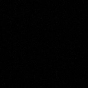 Meet your Posher, Noah